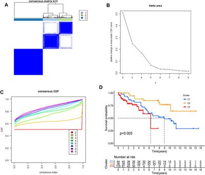 Cell Differentiation Trajectory in Liver Cirrhosis Predicts Hepatocellular Carcinoma Prognosis and Reveals Potential Biomarkers for Progression of Liver Cirrhosis to Hepatocellular Carcinoma